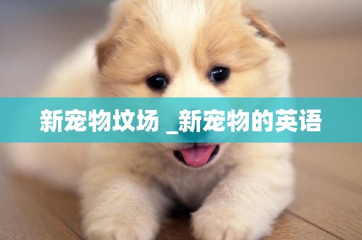 新寵物墳場 _新寵物的英語