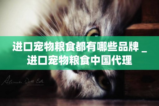 進口寵物糧食都有哪些品牌 _進口寵物糧食中國代理