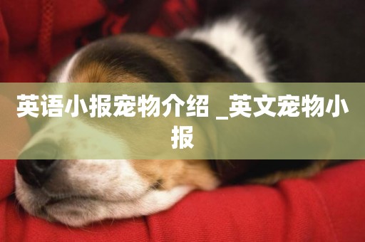 英語小報寵物介紹 _英文寵物小報