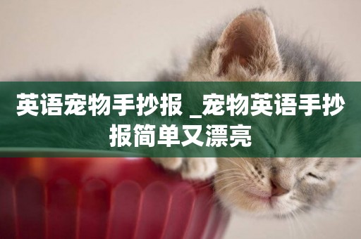 英語寵物手抄報 _寵物英語手抄報簡單又漂亮