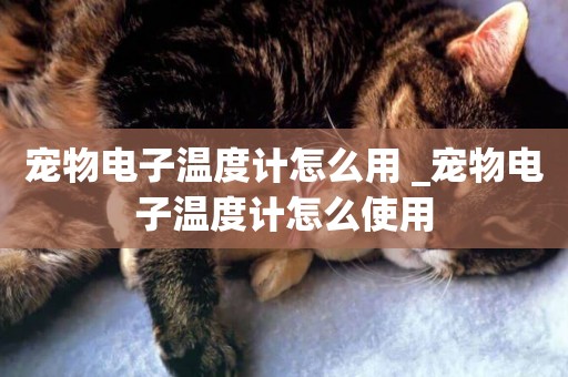 寵物電子溫度計怎么用 _寵物電子溫度計怎么使用