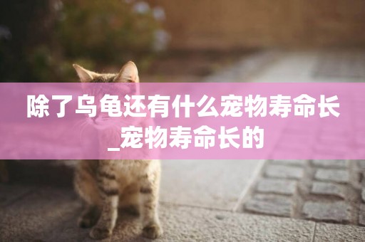 除了烏龜還有什么寵物壽命長 _寵物壽命長的
