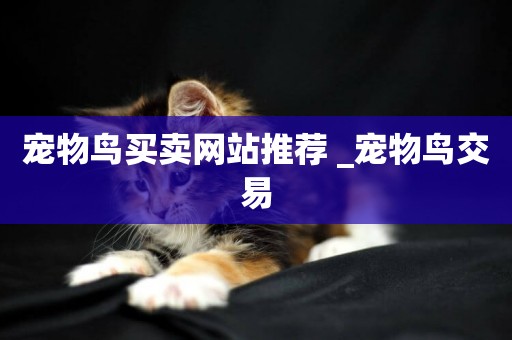 寵物鳥買賣網站推薦 _寵物鳥交易
