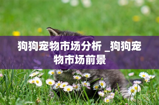 狗狗寵物市場分析 _狗狗寵物市場前景