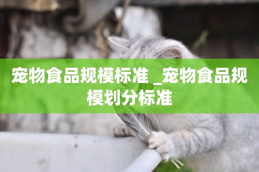 寵物食品規模標準 _寵物食品規模劃分標準