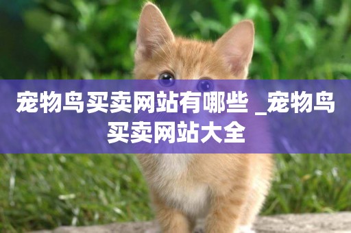 寵物鳥買賣網站有哪些 _寵物鳥買賣網站大全