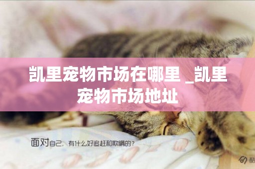 凱里寵物市場在哪里 _凱里寵物市場地址