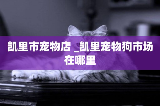 凱里市寵物店 _凱里寵物狗市場在哪里