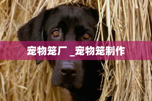 寵物籠廠 _寵物籠制作