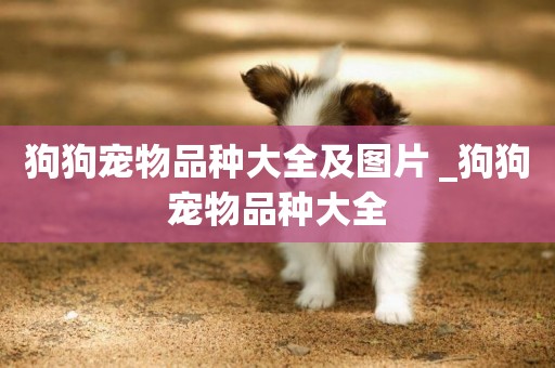 狗狗寵物品種大全及圖片 _狗狗寵物品種大全