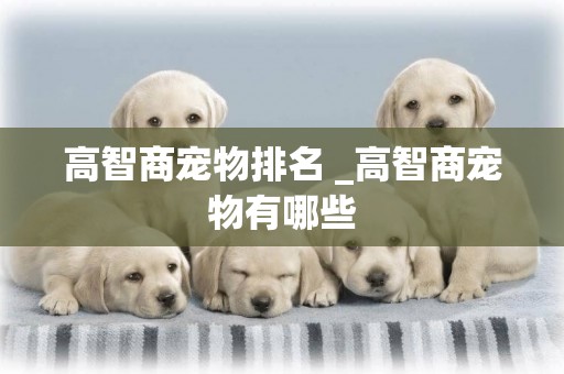 高智商寵物排名 _高智商寵物有哪些