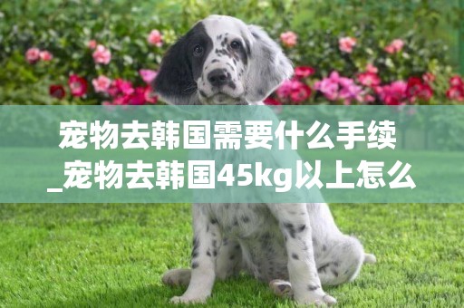 寵物去韓國需要什么手續 _寵物去韓國45kg以上怎么辦