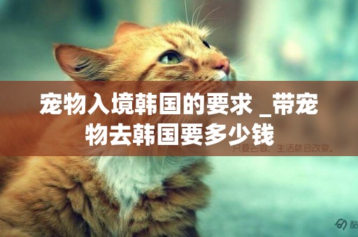 寵物入境韓國的要求 _帶寵物去韓國要多少錢