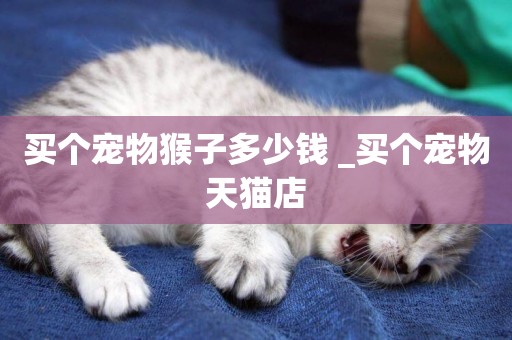 買個寵物猴子多少錢 _買個寵物天貓店
