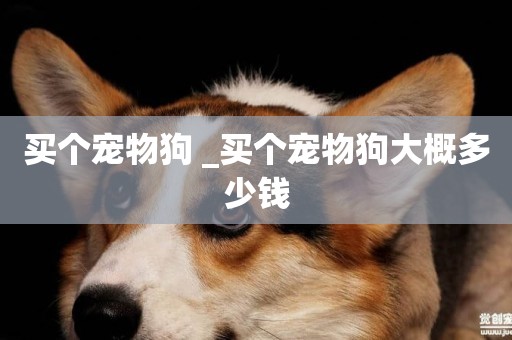 買個寵物狗 _買個寵物狗大概多少錢