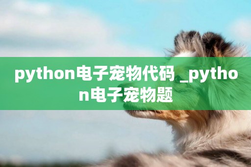 python電子寵物代碼 _python電子寵物題