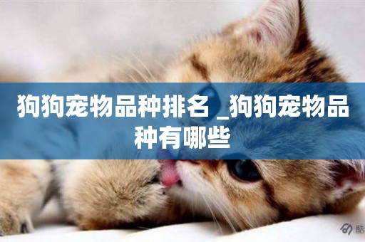 狗狗寵物品種排名 _狗狗寵物品種有哪些