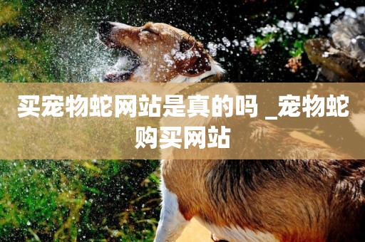 買寵物蛇網站是真的嗎 _寵物蛇購買網站