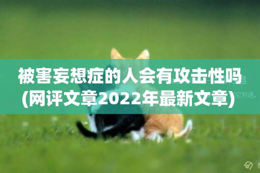 被害妄想癥的人會有攻擊性嗎(網評文章2022年最新文章) 