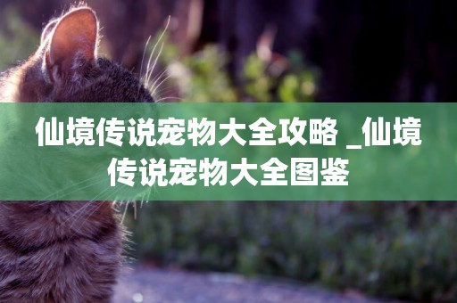 仙境傳說寵物大全攻略 _仙境傳說寵物大全圖鑒