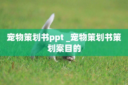 寵物策劃書ppt _寵物策劃書策劃案目的