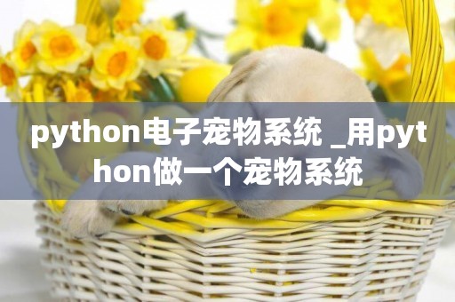 python電子寵物系統 _用python做一個寵物系統