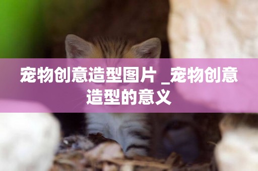 寵物創意造型圖片 _寵物創意造型的意義