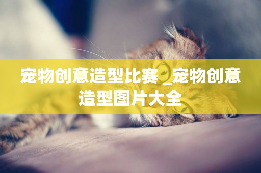 寵物創意造型比賽 _寵物創意造型圖片大全