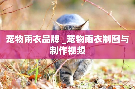 寵物雨衣品牌 _寵物雨衣制圖與制作視頻