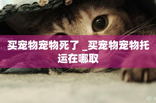 買寵物寵物死了 _買寵物寵物托運在哪取