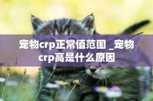 寵物crp正常值范圍 _寵物crp高是什么原因