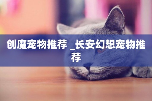 創魔寵物推薦 _長安幻想寵物推薦