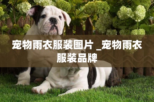 寵物雨衣服裝圖片 _寵物雨衣服裝品牌