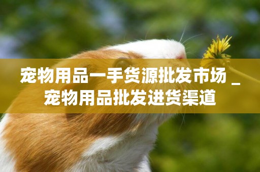 寵物用品一手貨源批發市場 _寵物用品批發進貨渠道