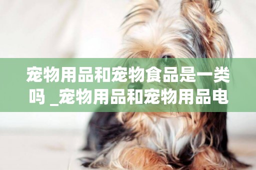 寵物用品和寵物食品是一類嗎 _寵物用品和寵物用品電商