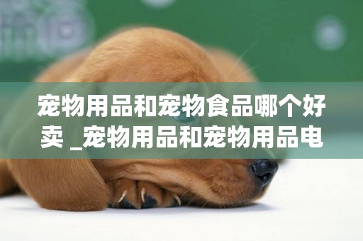 寵物用品和寵物食品哪個好賣 _寵物用品和寵物用品電商區別