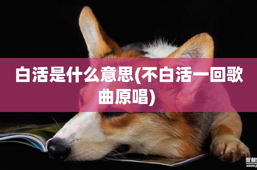 白活是什么意思(不白活一回歌曲原唱) 