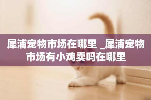 犀浦寵物市場在哪里 _犀浦寵物市場有小雞賣嗎在哪里