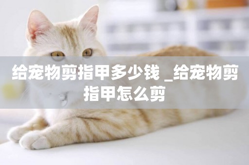 給寵物剪指甲多少錢 _給寵物剪指甲怎么剪