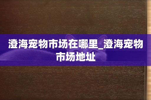 澄海寵物市場在哪里_澄海寵物市場地址