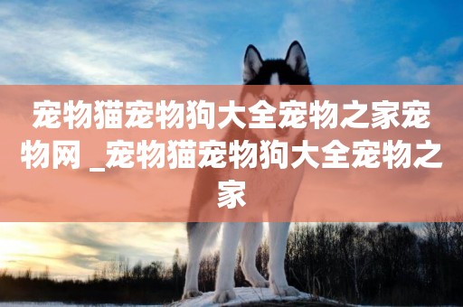 寵物貓寵物狗大全寵物之家寵物網 _寵物貓寵物狗大全寵物之家