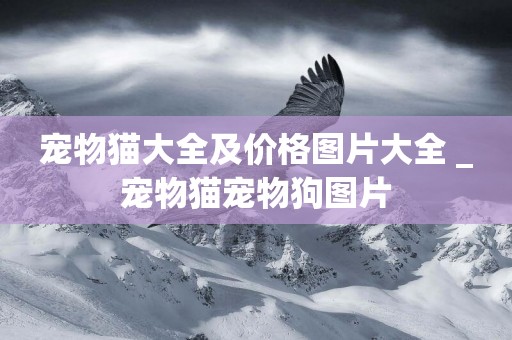 寵物貓大全及價格圖片大全 _寵物貓寵物狗圖片