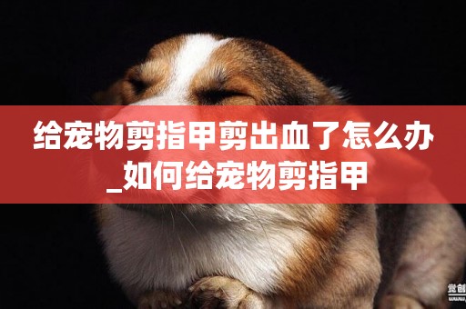 給寵物剪指甲剪出血了怎么辦 _如何給寵物剪指甲