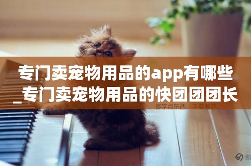 專門賣寵物用品的app有哪些_專門賣寵物用品的快團團團長