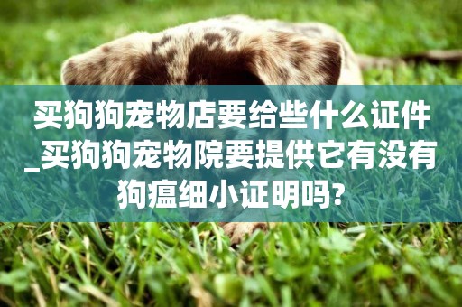 買狗狗寵物店要給些什么證件_買狗狗寵物院要提供它有沒有狗瘟細小證明嗎?