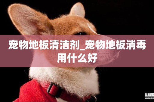 寵物地板清潔劑_寵物地板消毒用什么好