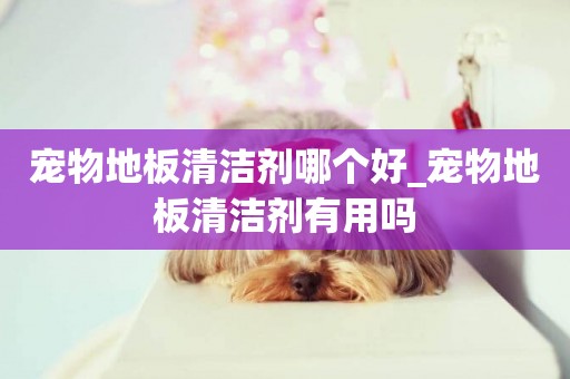 寵物地板清潔劑哪個好_寵物地板清潔劑有用嗎