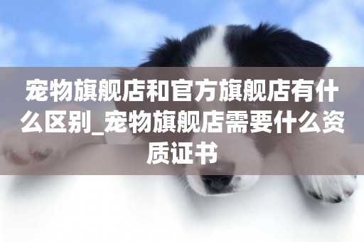 寵物旗艦店和官方旗艦店有什么區別_寵物旗艦店需要什么資質證書