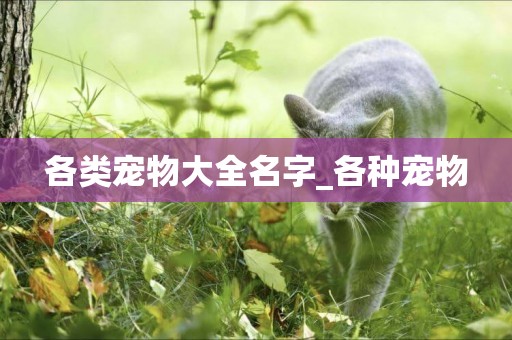 各類寵物大全名字_各種寵物