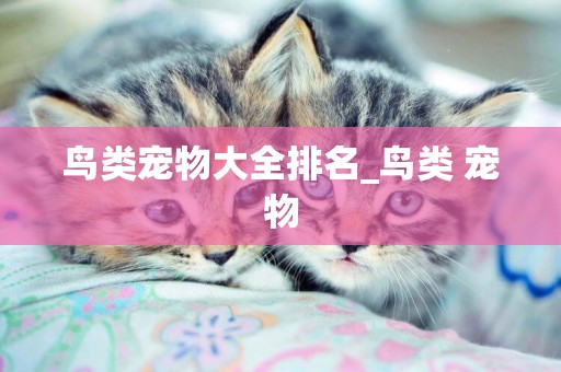 鳥類寵物大全排名_鳥類 寵物